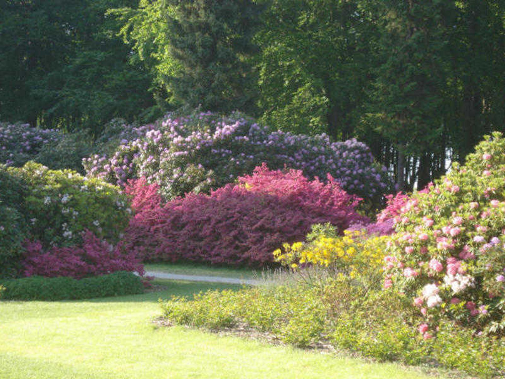 Windrose (EG) - Am Rhododendronpark