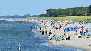 Prerower Strand im Sommer