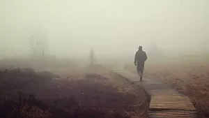 Nebel im Moor
