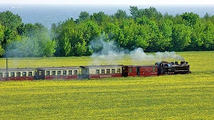 steam powered train "Molli"