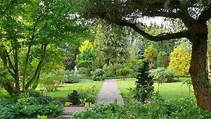 z. B. Botanischer Garten Christiansberg in Luckow