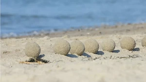 dekorative Strandmurmeln, aus feuchtem Sand geformt