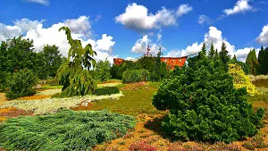 Heidelandschaft mit der Spielarche im Hintergrund Heidelandschaft mit der Spielarche im Hintergrund