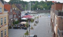 Seestern