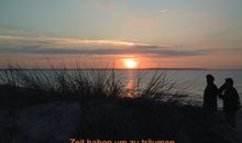 FeWo Timpe A1