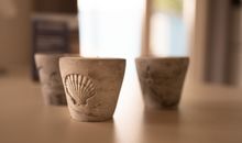 Muschel (62)