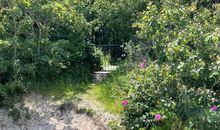 App. 11 - Hunde erlaubt, Strandresidenz Dünenperle