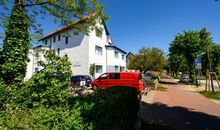 Stranddistel