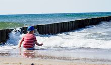 Stranddistel