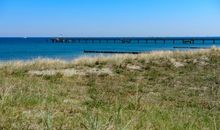Stranddistel