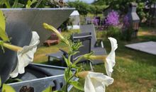 Ferienwohnung mit Balkon für vier Personen und ein Kind