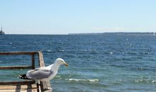 Maritime Ecke 1