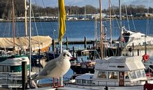 Apartment 2  - "Am Leuchtfeuer 2" - Blickrichtung Yacht-, Binnenhafen und offene See
