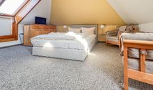 Sandregenpfeifer