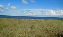 Strandmuschel