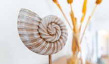 Haus Meeresstrand Wohnung 106