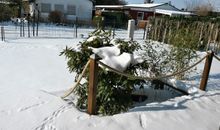 Norddachhaus
