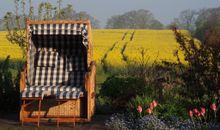 hochwertige Liegestühle auf der möblierten Terrasse mit Garten