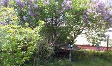 K2 Bungalow - Strandhaus Königsberger Allee 8 - FERIENDOMIZIL HOLLICH