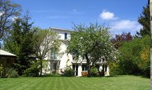 Palm Ferienhaus - Grün