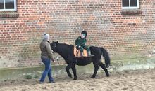 Nicölchens Ferienbude (9244) - Fehmarn