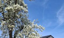 Hof Hagen - "Am Birnenbaum" (Neubau 2025)