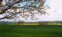 Ferienhaus Maren mit eingezäunten Garten