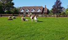 Ferienhof Mau "Appartementhaus Dunkelblau"