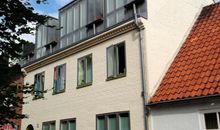 Singlefewo Seemöwe für 1 Person