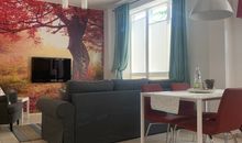 Singlefewo Seemöwe für 1 Person