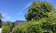 'Lotsenhaus' Ferienhaus Fehmarnsund - mit Garten
