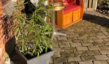 'Lotsenhaus' Ferienhaus Fehmarnsund - mit Garten