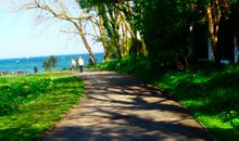 Strande, fast am Strand