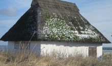 Kaminofen in der Diele der ehemaligen Scheune
