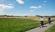 Zufahrt über die Alleenstraße