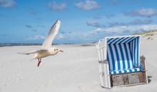 Sonne, Sand und Mee(h)r