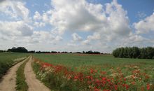 Herrliche Ostseeküsten-Radwege in die Natur