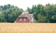 Blick auf das Ferienhaus