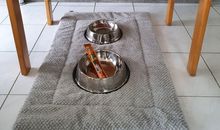 Appartement 5