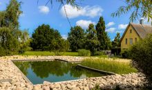Reetdachhäuser Krienke - Schwimmteich und Gartenanlage