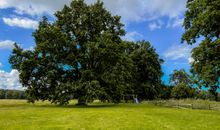 Reetdachhäuser Krienke - Gartenanlage