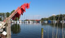 Yacht - und Fischereihafen