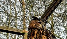 Vogelpark