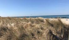sommerlicher Vorgarten - Altes Fischerhaus