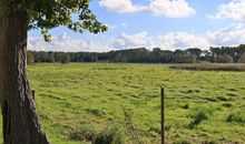 Urlauberdorf 52b - Blick auf den gemütlichen Wohnbereich mit offener Küche