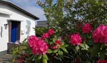 Ferienhaus Ostseewind