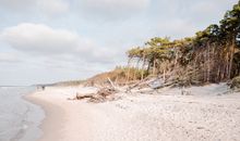 Ostseeperle