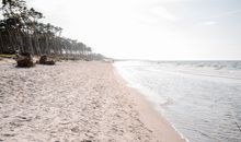 Ostseeperle