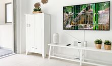 TV, WLAN