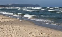 Ostseebad Göhren 8-Personen-Ferienhaus mit beh. WPool